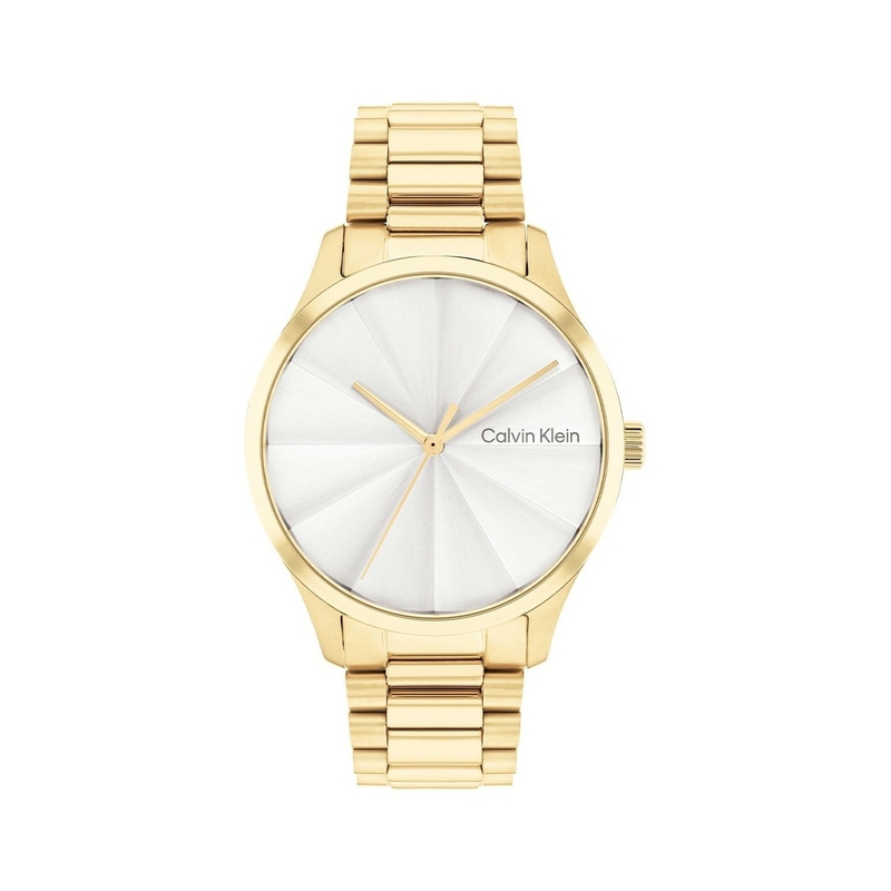 Calvin Klein Ck25200232 Kadın Kol Saati