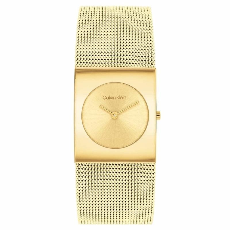Calvin Klein CK25100062 Kadın Kol Saati