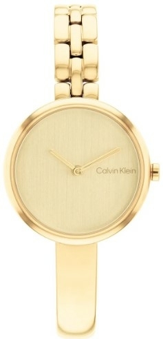 Calvin Klein Ck25200279 Kadın Kol Saati
