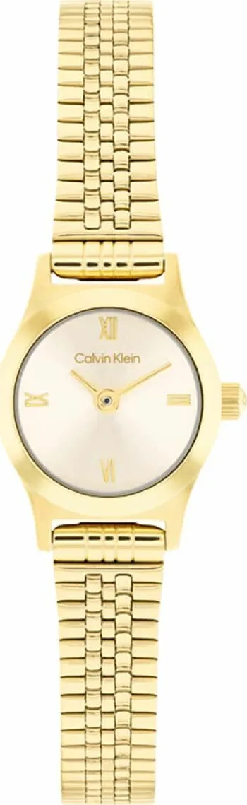 Calvin Klein Ck25100201 Kadın Kol Saati