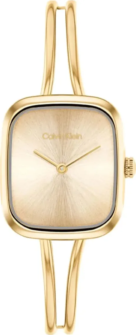 Calvin Klein Ck25100132 Kadın Kol Saati