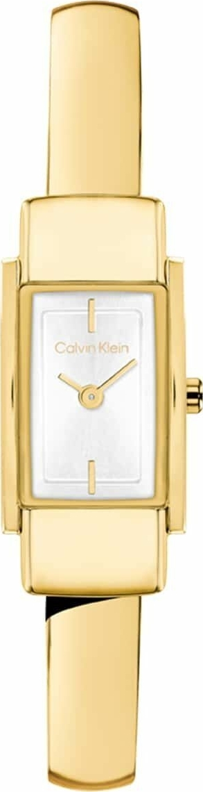 Calvin Klein Ck25100184 Kadın Kol Saati