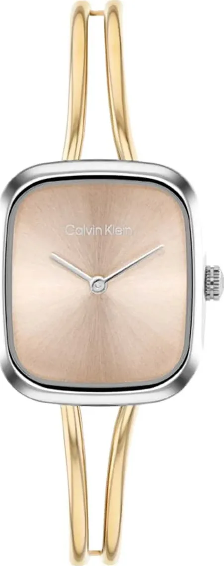 Calvin Klein Ck25100134 Kadın Kol Saati