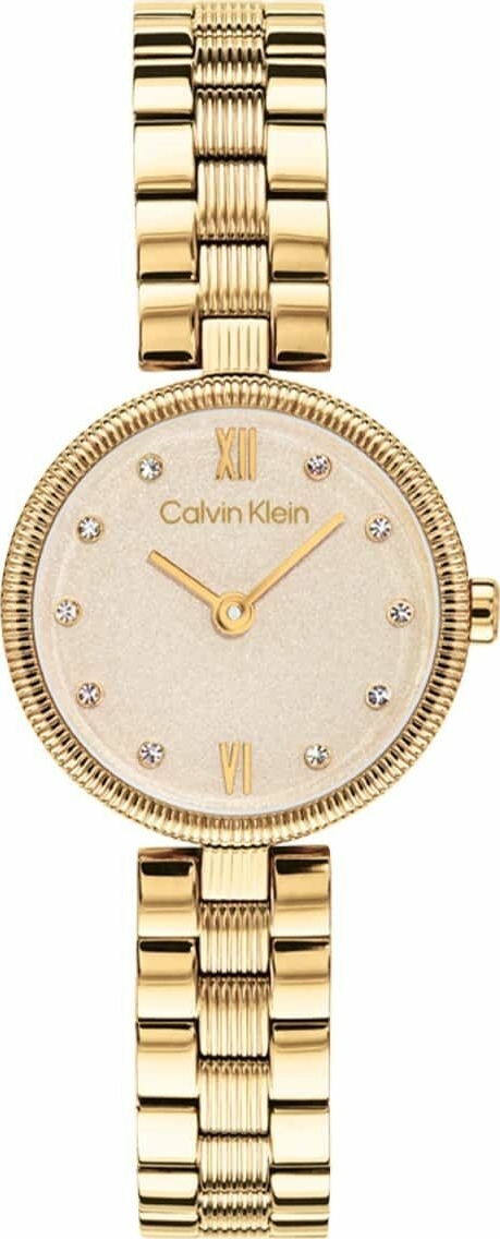 Calvin Klein Ck25100225 Kadın Kol Saati
