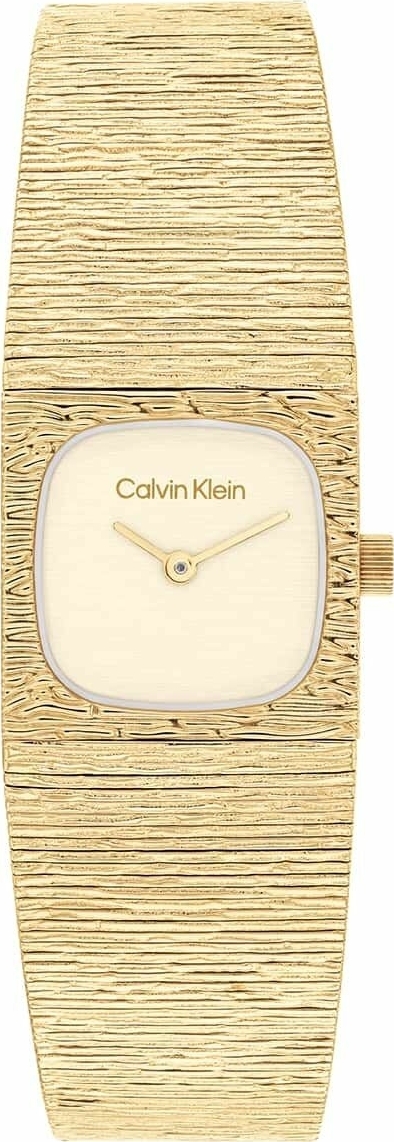 Calvin Klein Ck25100178 Kadın Kol Saati